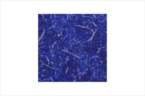 Microscopic photograph of Non-spark GL