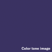 Color tone image